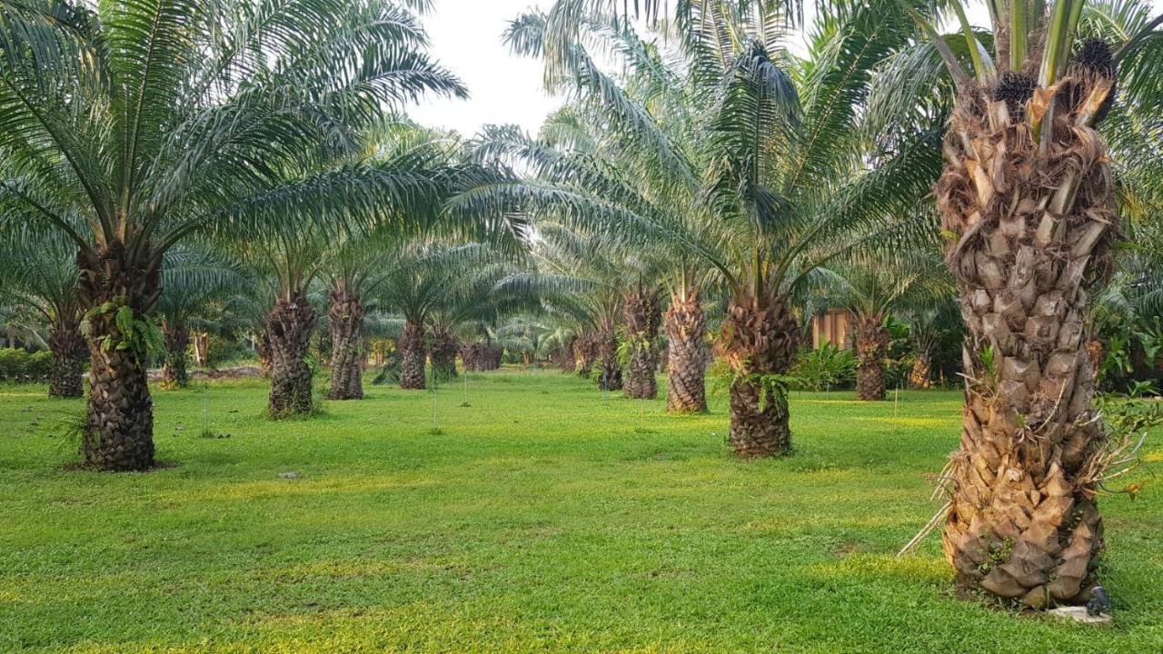 Palm Pran Resort Пранбури Экстерьер фото